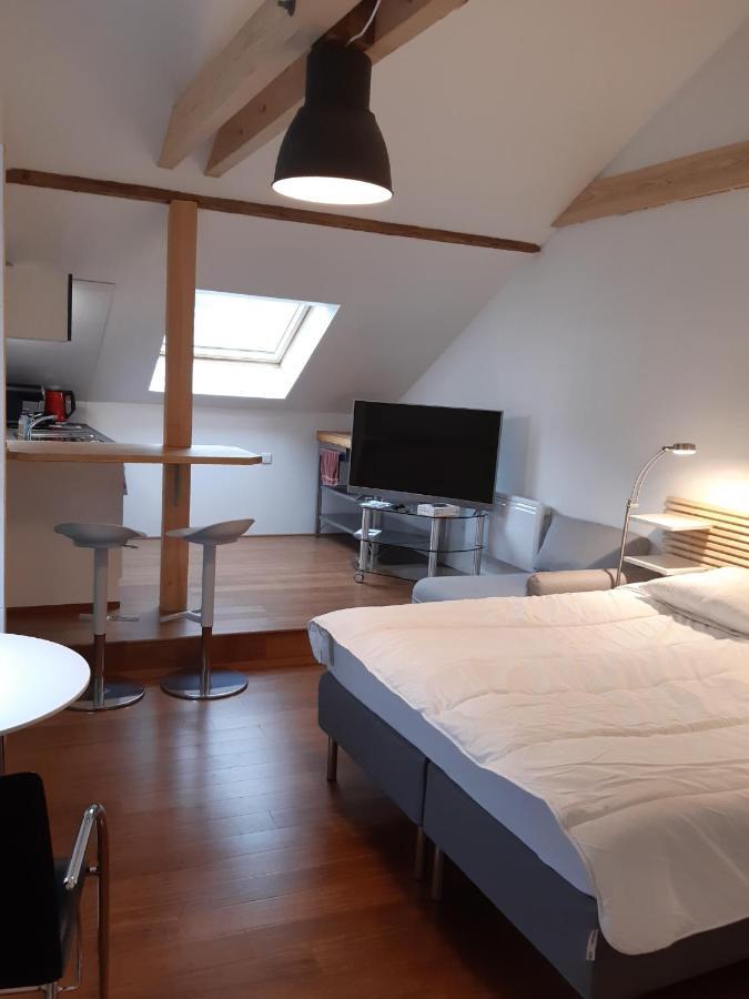 Loft Studio Avec Charme Et Authenticite Hotel Altkirch Exterior foto