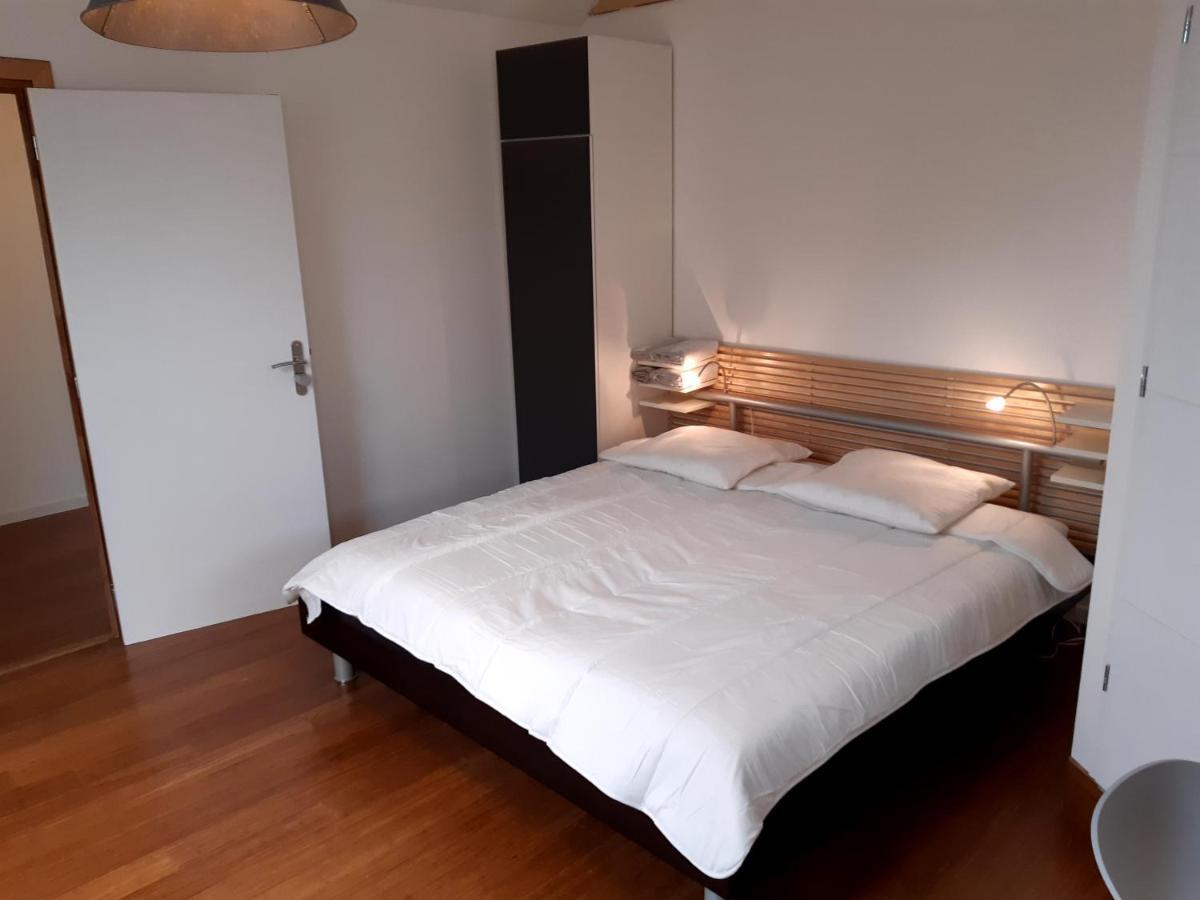 Loft Studio Avec Charme Et Authenticite Altkirch Exterior foto